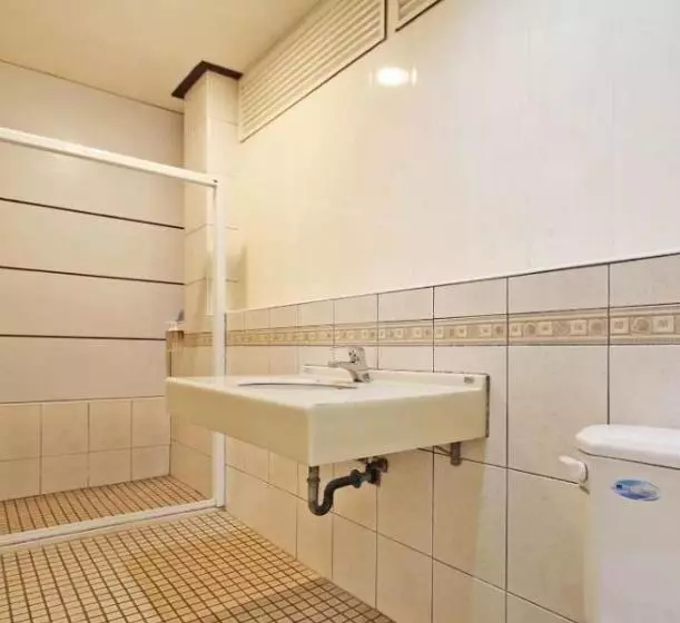 هتل 日月潭  日月住館