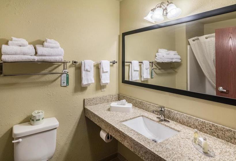 Cobblestone Hotel & Suites Pecos