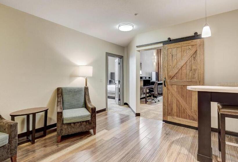 酒店 Staybridge Suites Baltimore   Inner Harbor, An Ihg