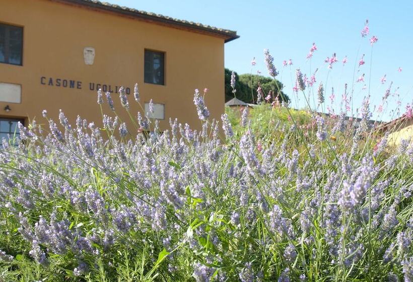 پانسیون Casone Ugolino