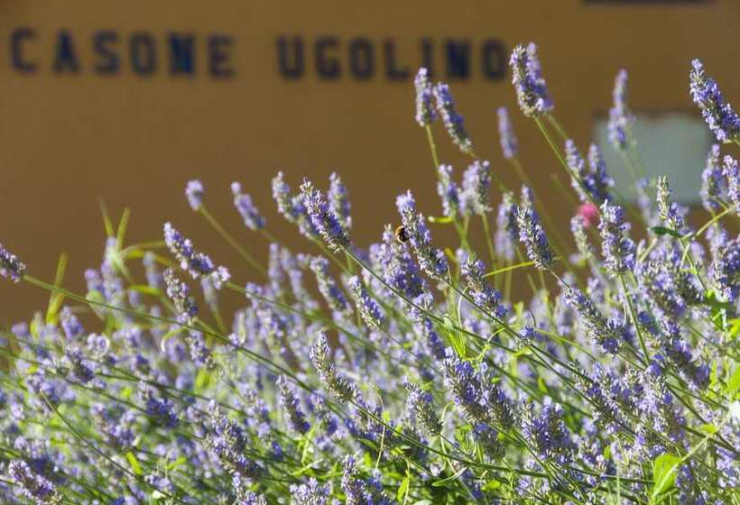 پانسیون Casone Ugolino