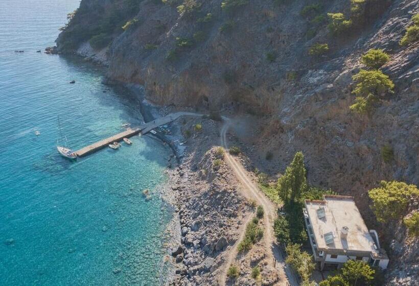 Sweet Corner Masxali