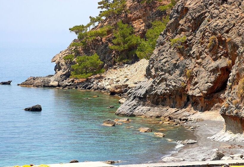 Sweet Corner Masxali