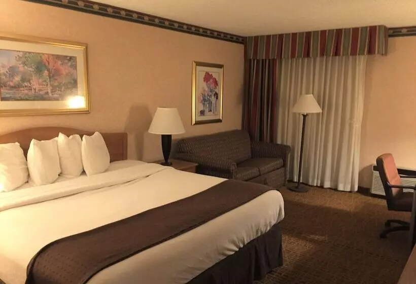 ホテル Americas Best Value Inn & Suites Boise