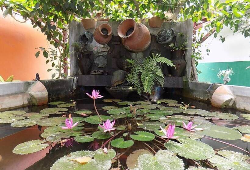 酒店 T Star Cottage