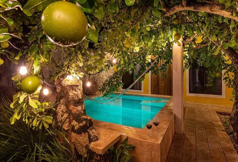 Boutique Casa Hipil
