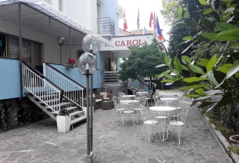 בית מלון כפרי Carol