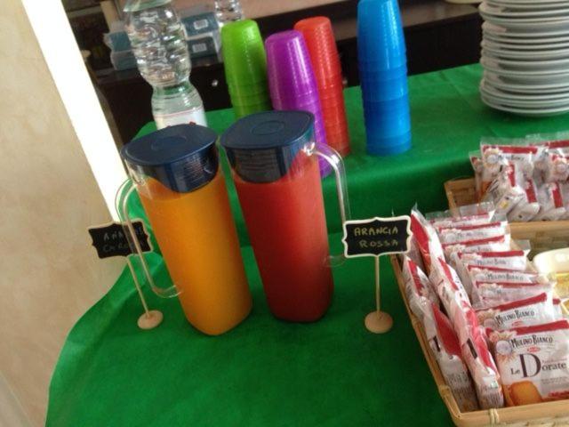 בית מלון כפרי Carol