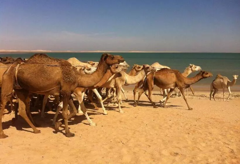 هتل Sahel