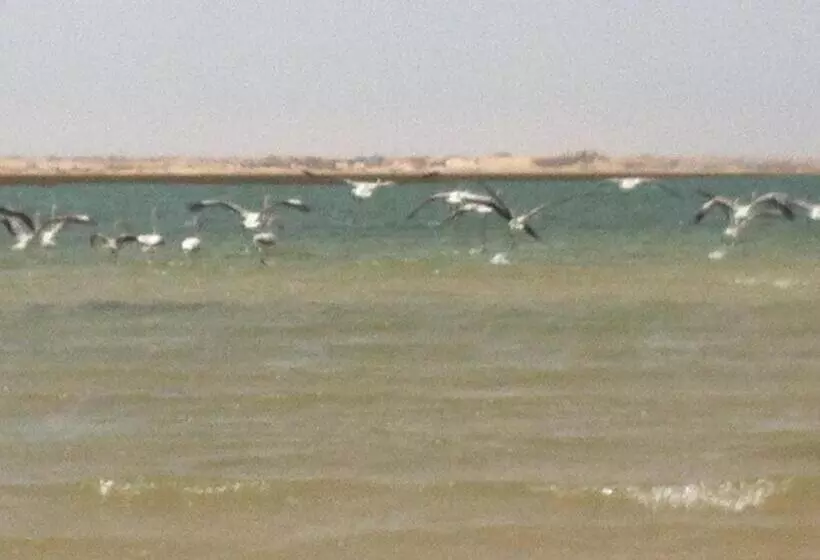 هتل Sahel