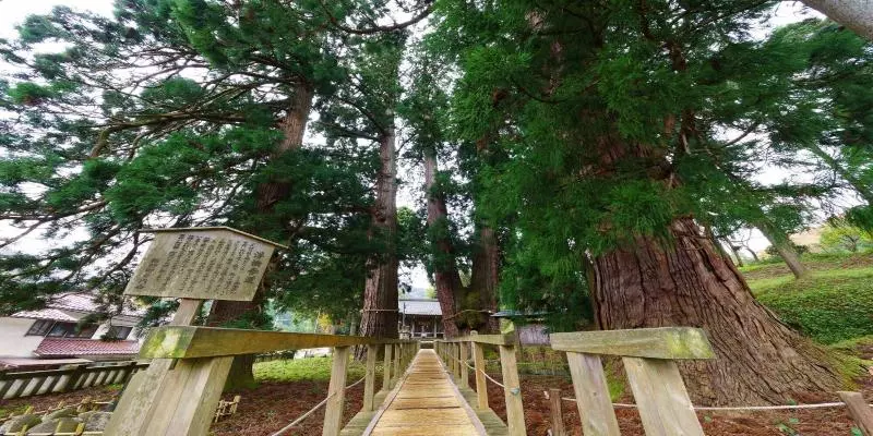 Hotelli Yamanaka Onsen Hanatsubaki