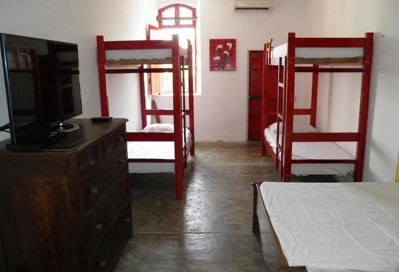 Mameluco Hostel