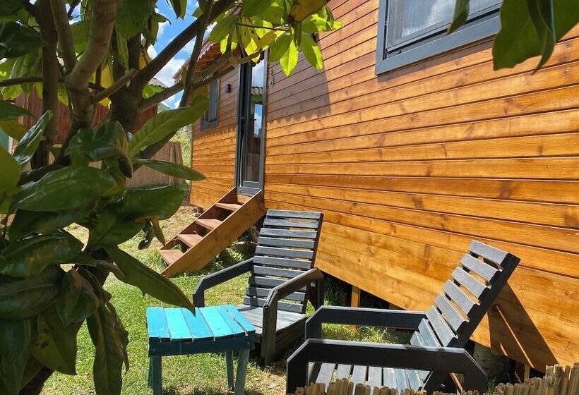 Agva Green River Otel