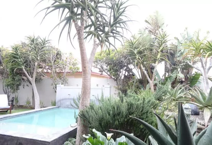 تختخواب و صبحانه 1932 House