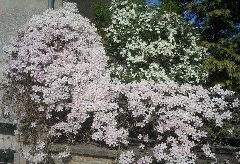 مبيت وإفطار Le Clos De La Roche