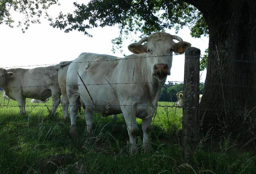 مبيت وإفطار Le Clos De La Roche