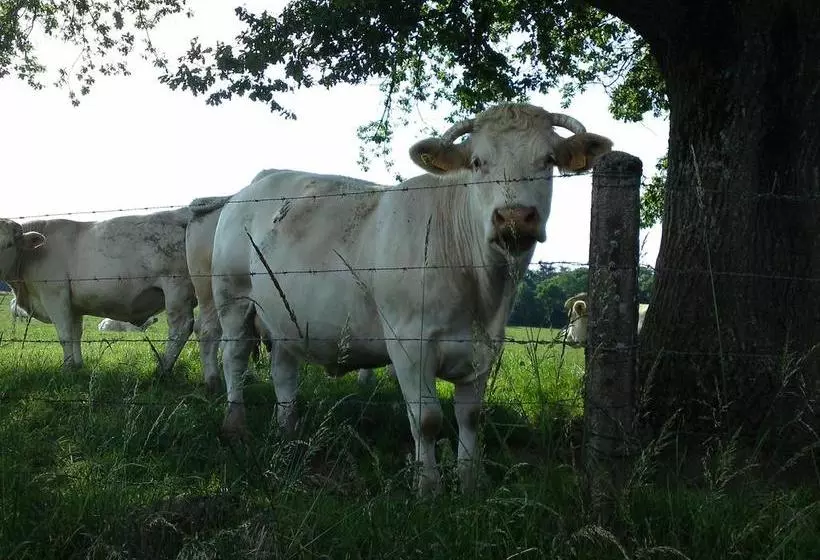 ベッドアンドブレックファースト Le Clos De La Roche