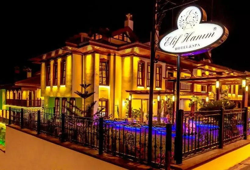 Hotelli Elif Hanim  & Spa