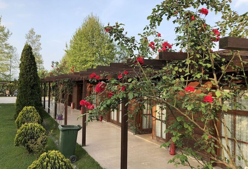 Otel Sapanca Tren Bungalov