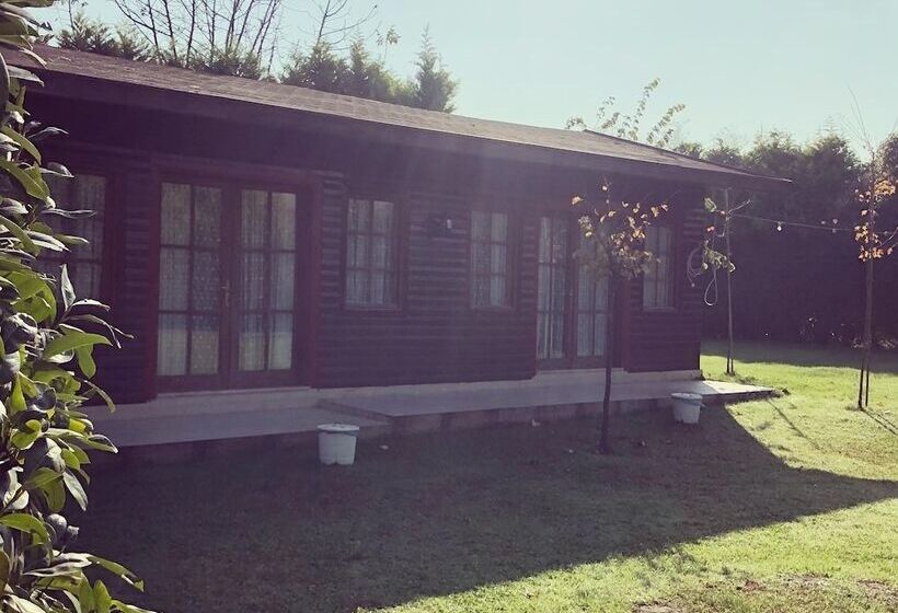 Otel Sapanca Tren Bungalov