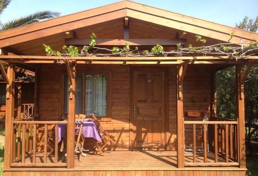 هتل Ataol Beach & Bungalows