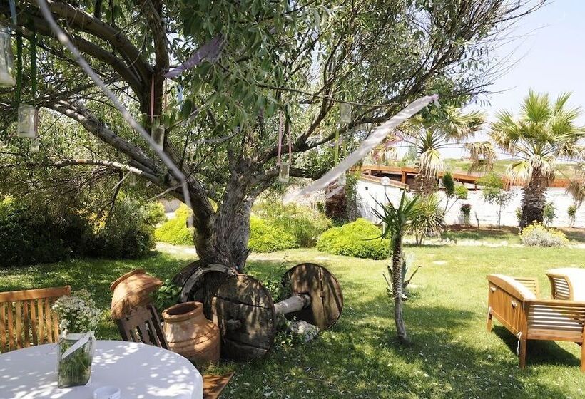 هتل Ataol Beach & Bungalows