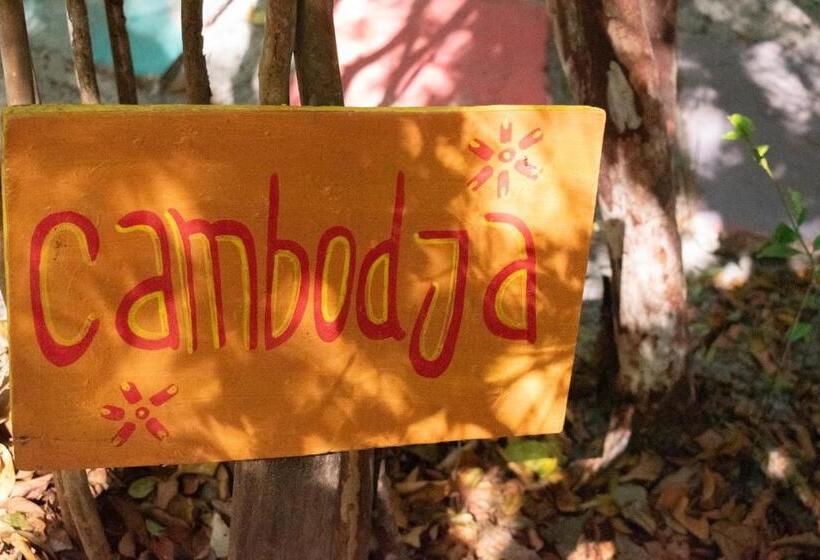 Lagarto Na Banana Hostel