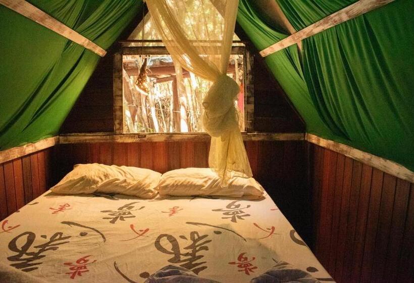 Lagarto Na Banana Hostel