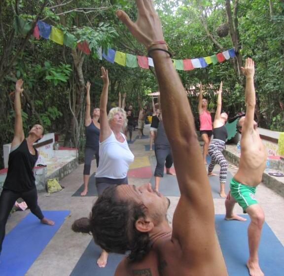 Lagarto Na Banana Hostel