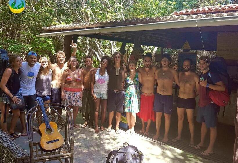 Lagarto Na Banana Hostel