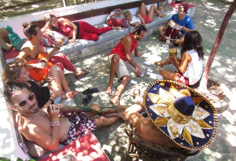 Lagarto Na Banana Hostel