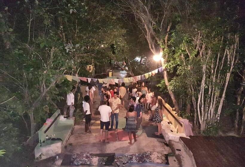 Lagarto Na Banana Hostel