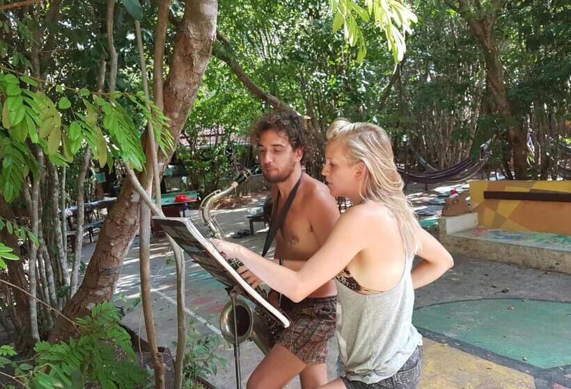 Lagarto Na Banana Hostel