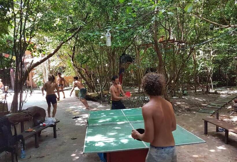 Lagarto Na Banana Hostel