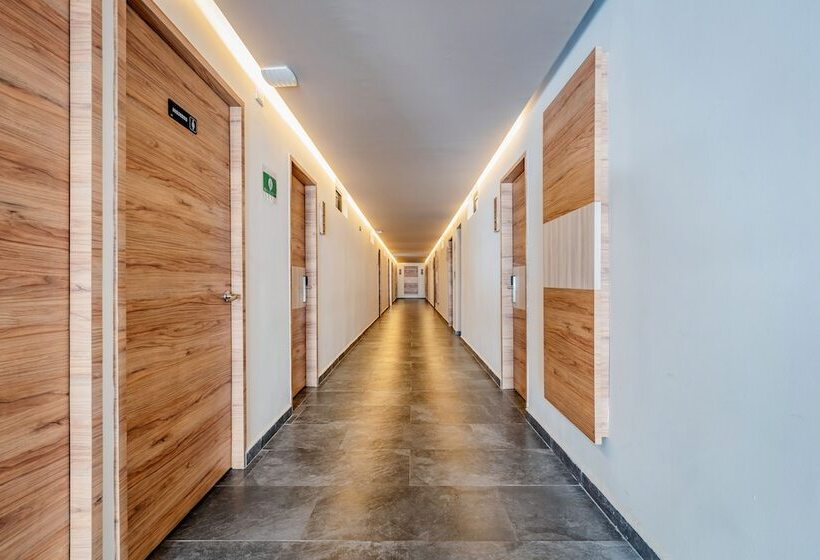 ホテル Central Merida By Kavia