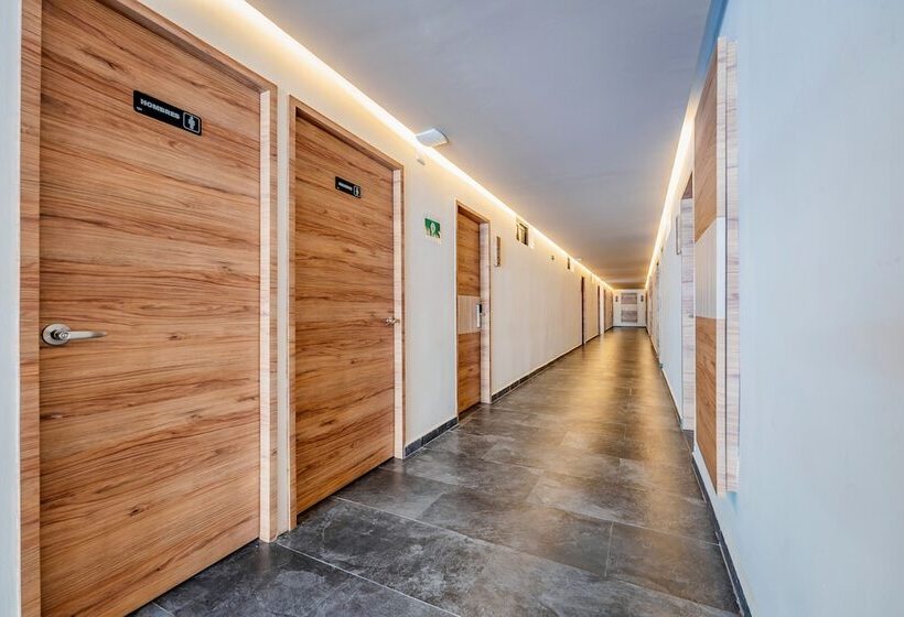 ホテル Central Merida By Kavia