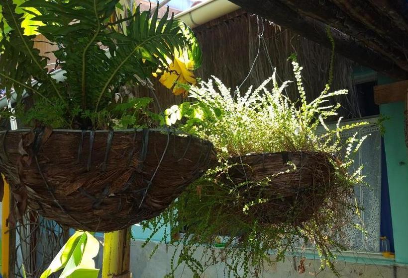 هتل Manamar Pousada