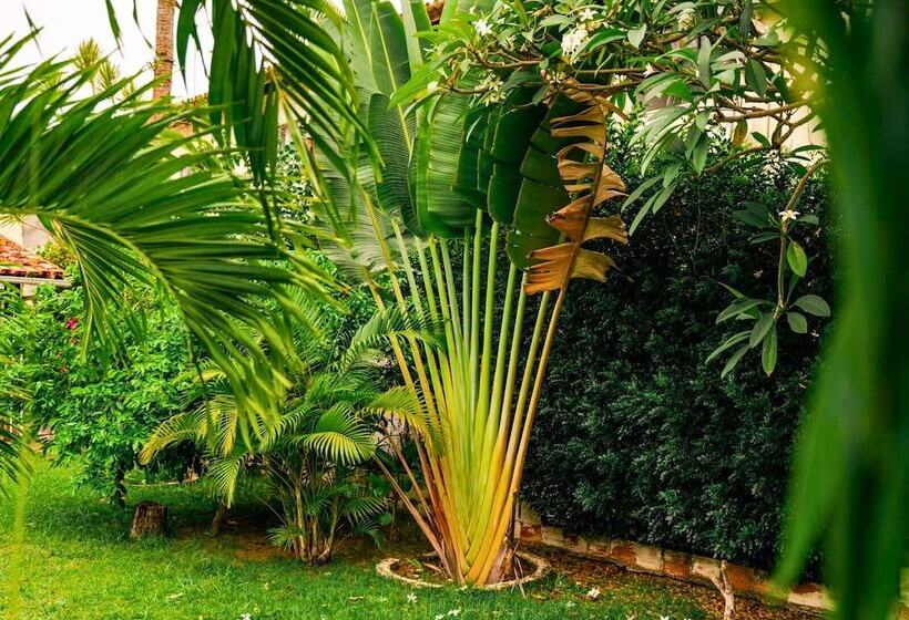 בית מלון כפרי Pousada Da Mercia