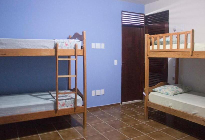 Hotel Slow Hostel Hospedagem Criativa