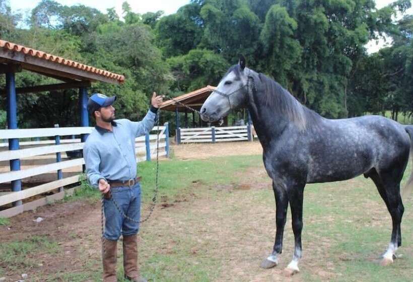 Engenho Da Serra Hotel Ecoresort