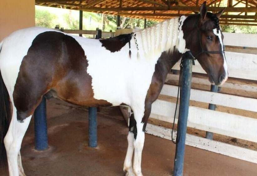 Engenho Da Serra Hotel Ecoresort