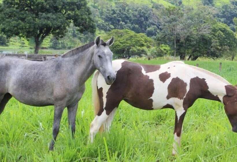 Engenho Da Serra Hotel Ecoresort
