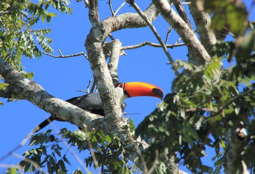 Отель Pousada Boyrá