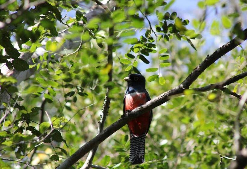 Отель Pousada Boyrá