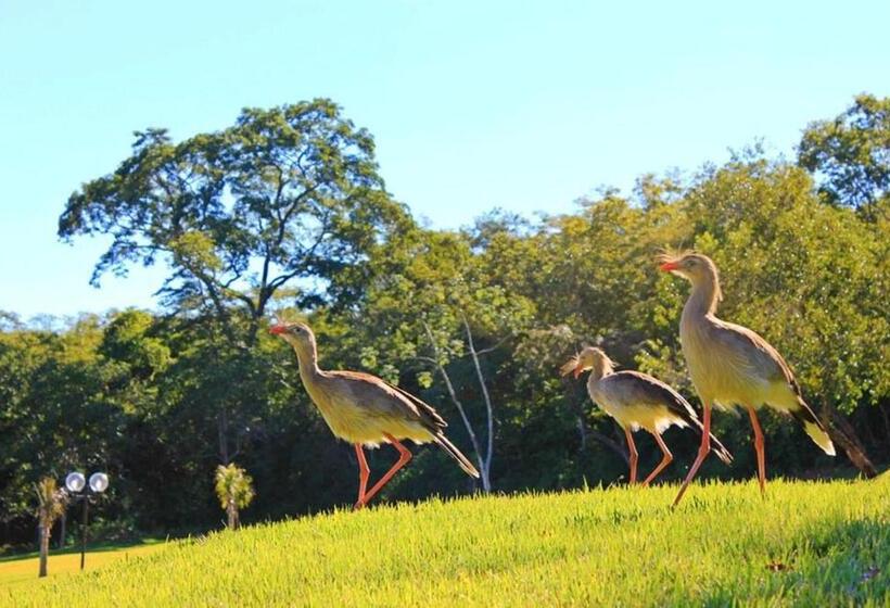 Отель Pousada Boyrá