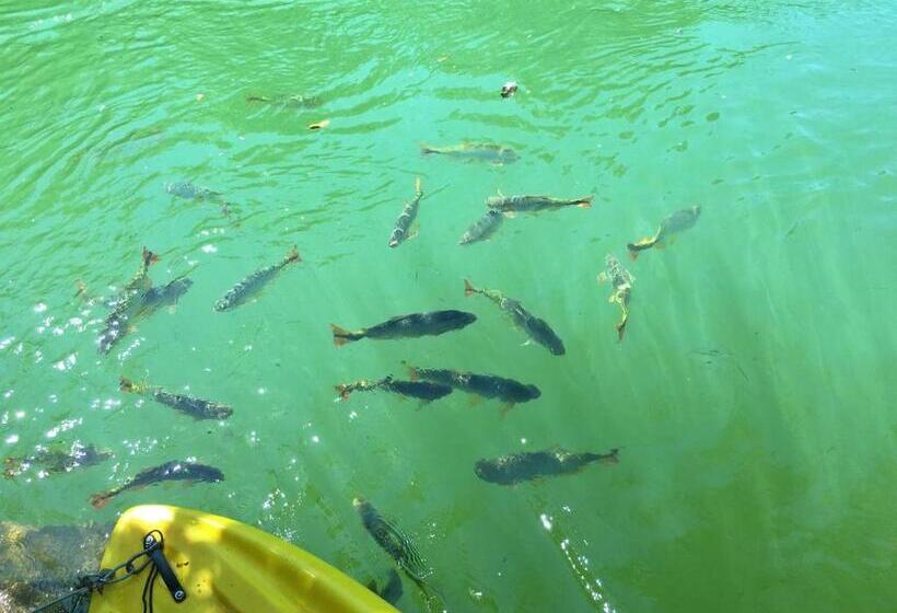 Отель Pousada Boyrá