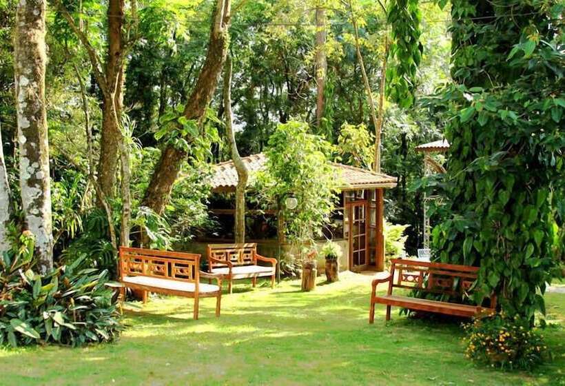 Курорт Match Point Spa