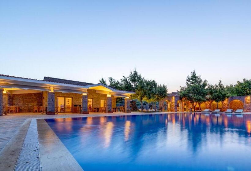 ホテル Cinarli Kasri