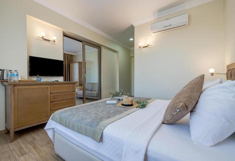 ホテル Cinarli Kasri