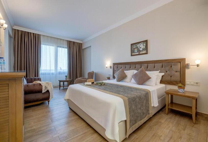 ホテル Cinarli Kasri